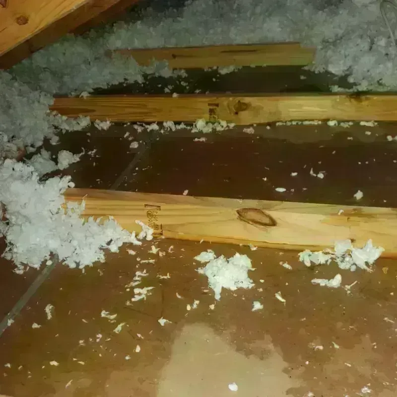 Attic Water Damage in Clearlake, CA