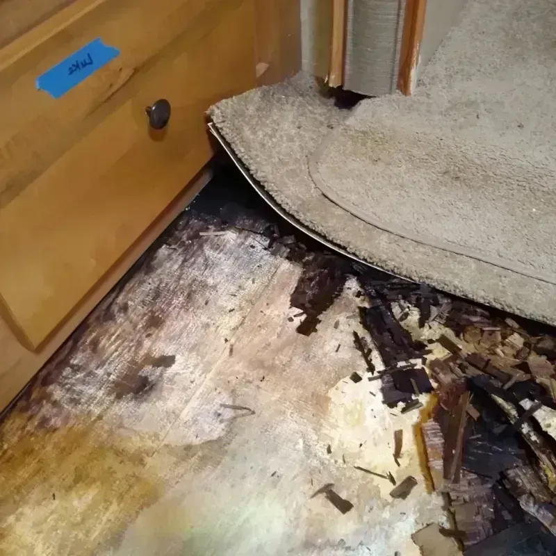 Wood Floor Water Damage in Clearlake, CA